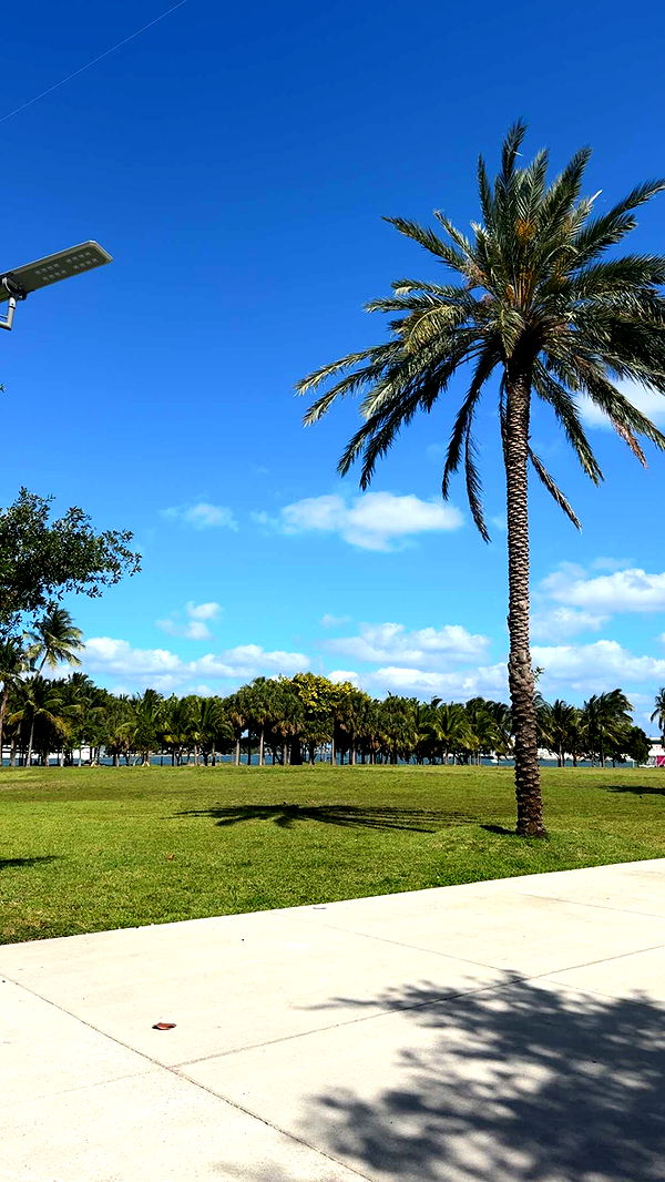 bellarenaldii image ~ Altpins