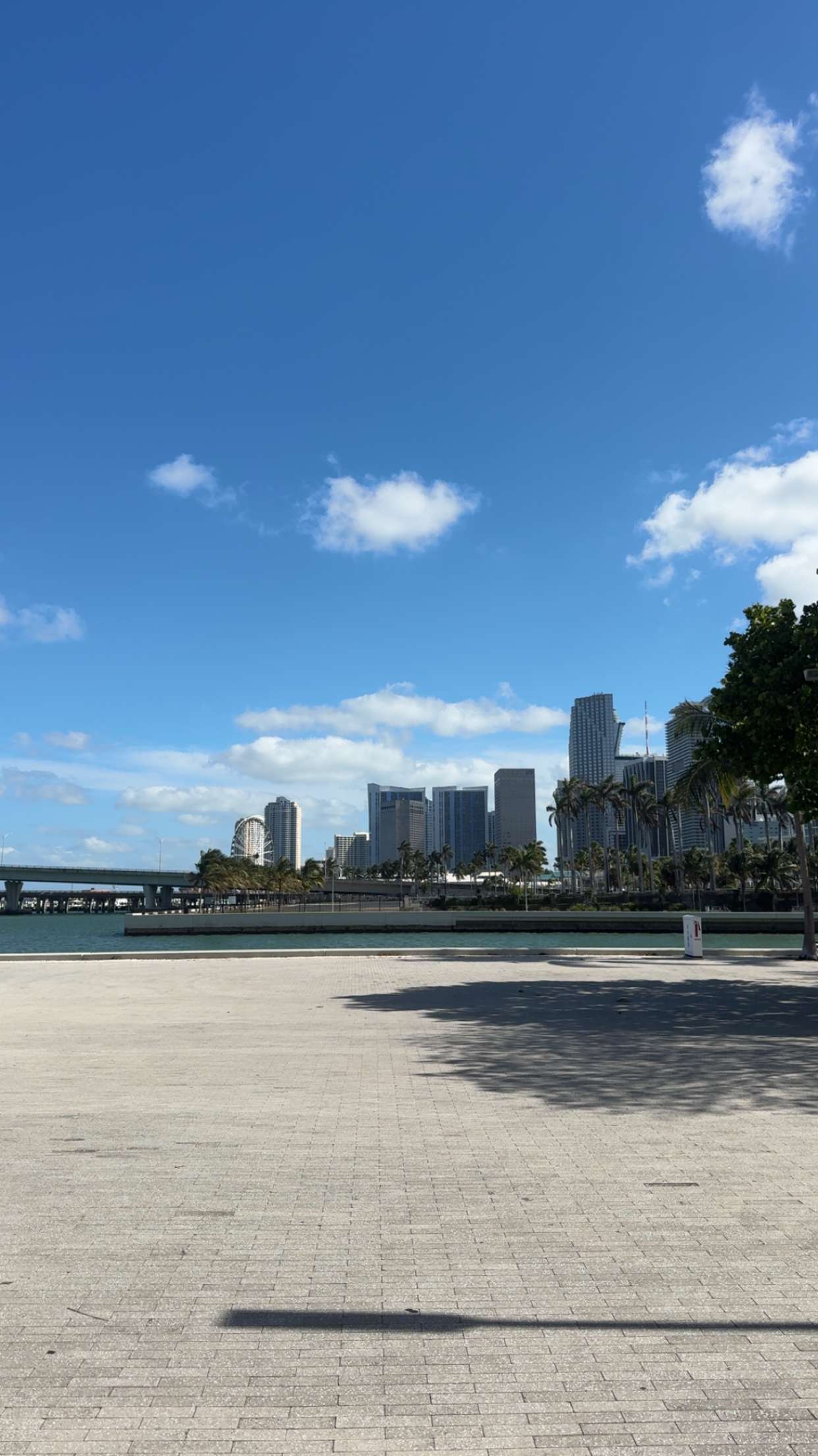 bellarenaldii snapchat image archive image