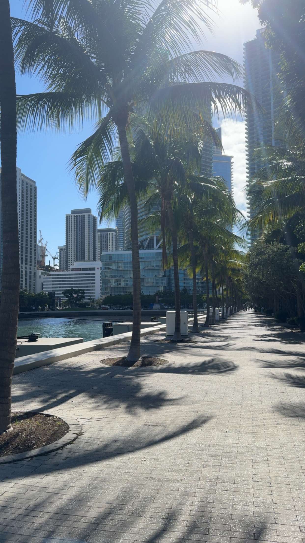 bellarenaldii snapchat image archive image