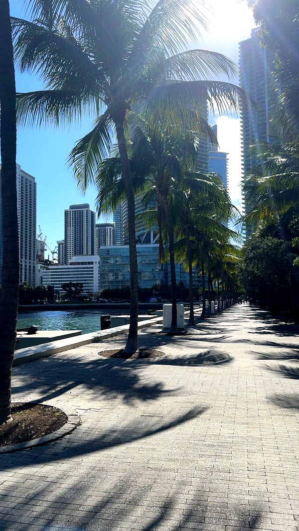 bellarenaldii image ~ Altpins