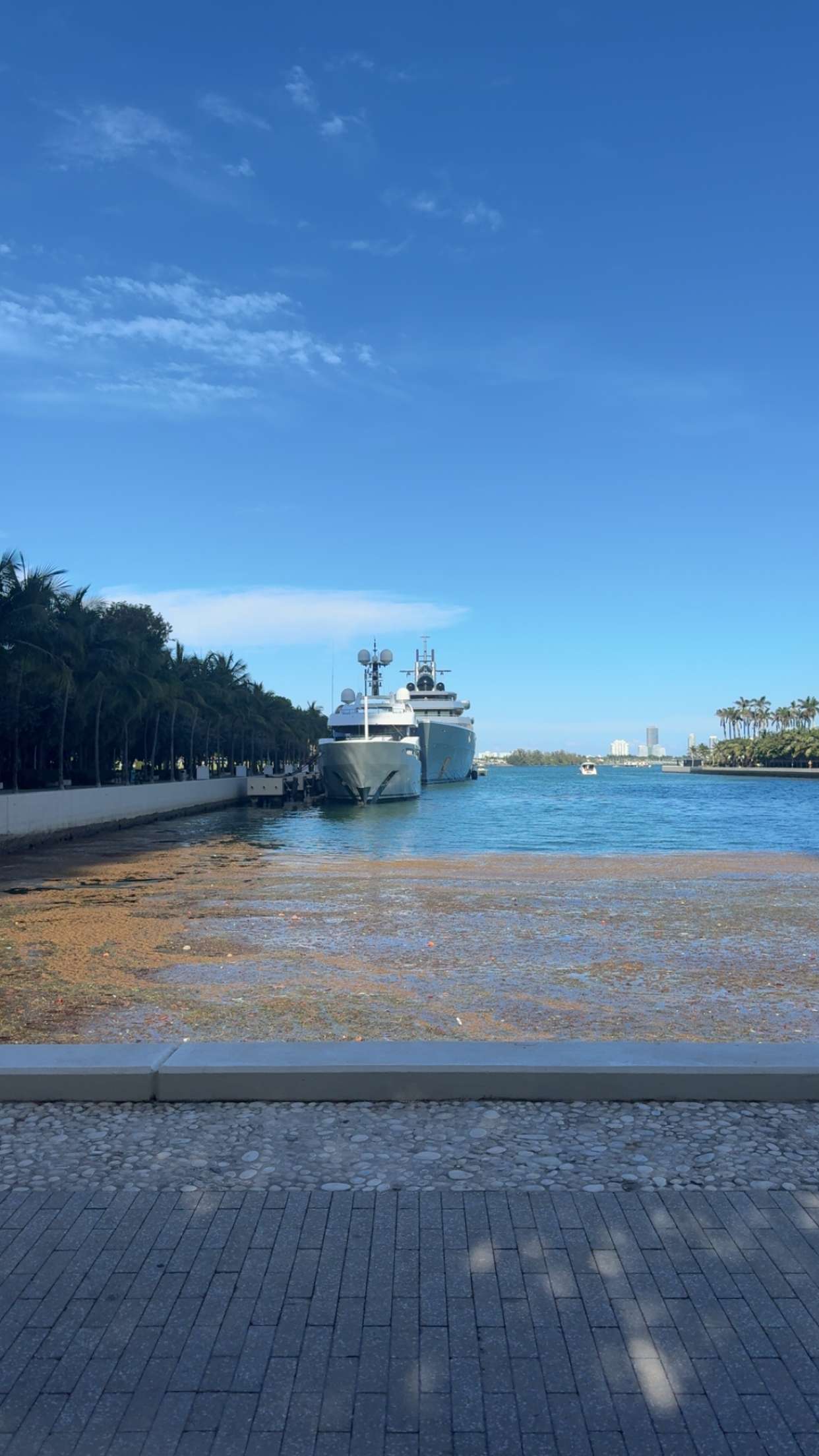 bellarenaldii snapchat image archive image