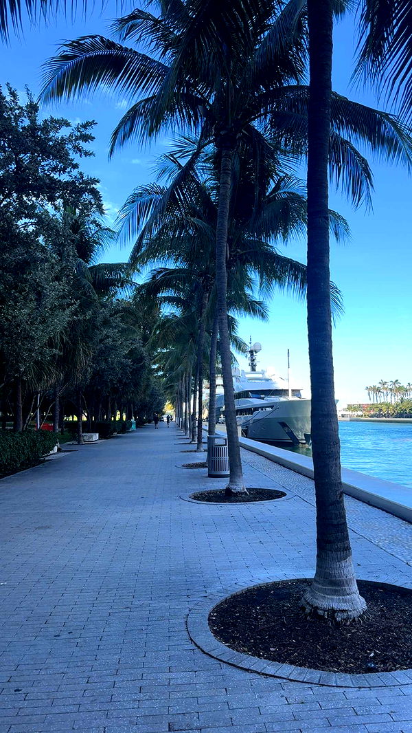 bellarenaldii image ~ Altpins