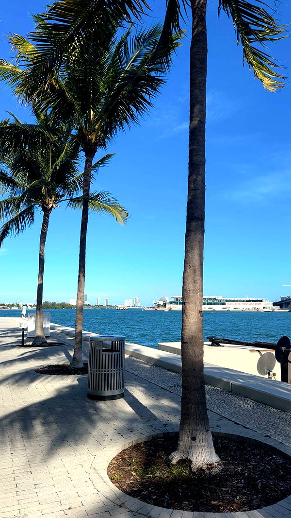 bellarenaldii image ~ Altpins