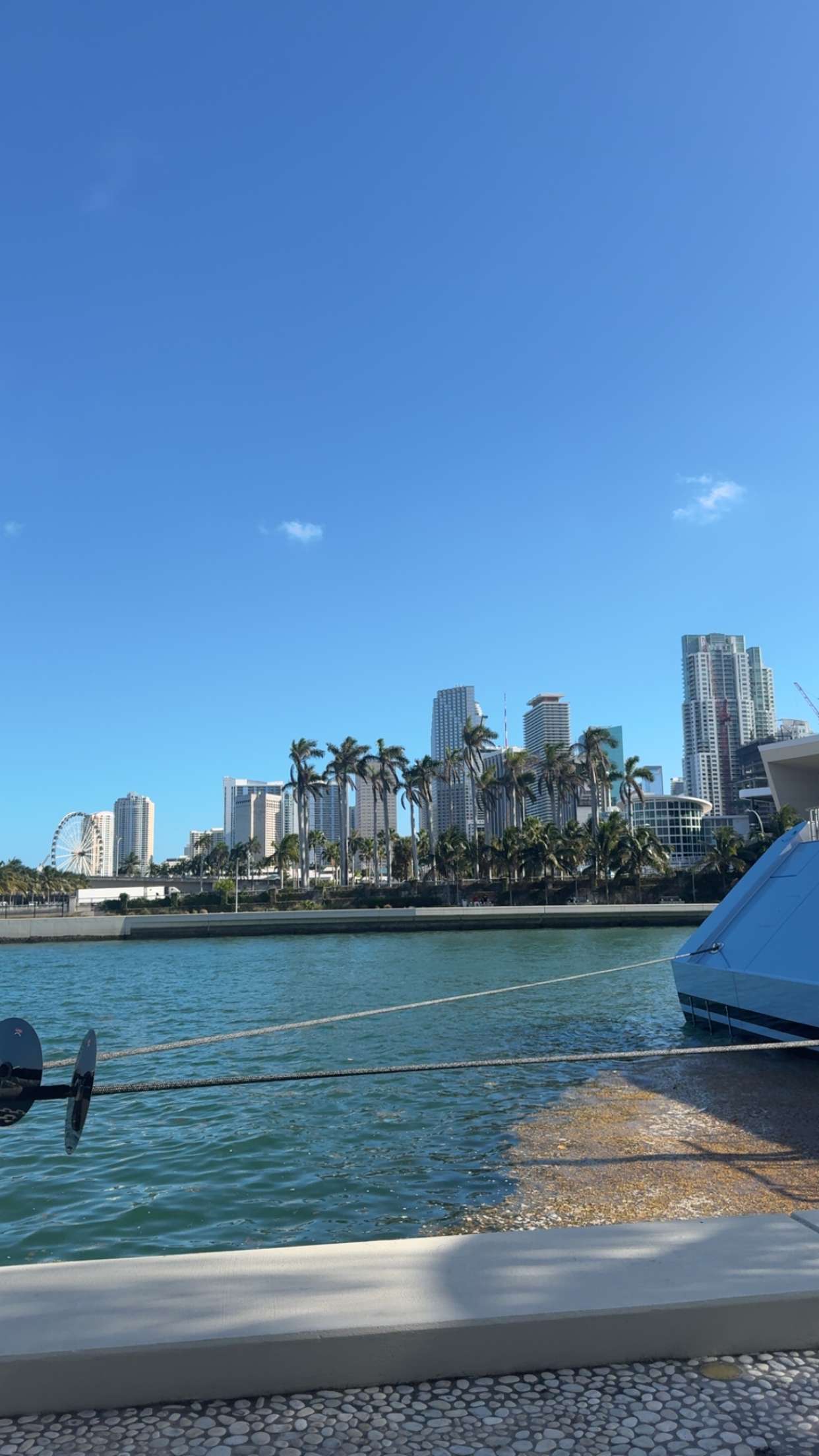 bellarenaldii snapchat image archive image