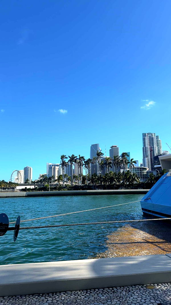 bellarenaldii image ~ Altpins