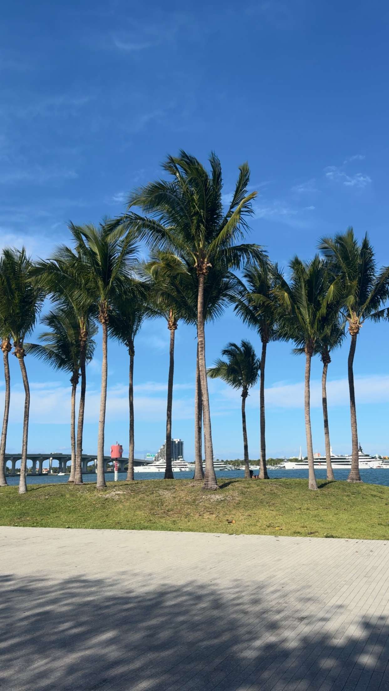 bellarenaldii snapchat image archive image