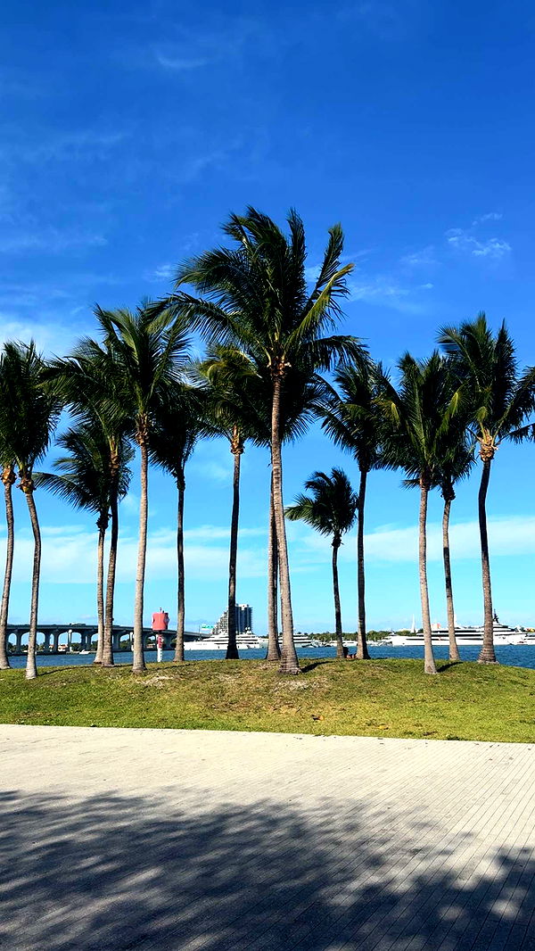 bellarenaldii image ~ Altpins