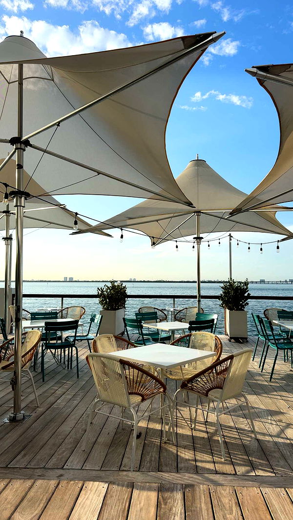 bellarenaldii image ~ Altpins