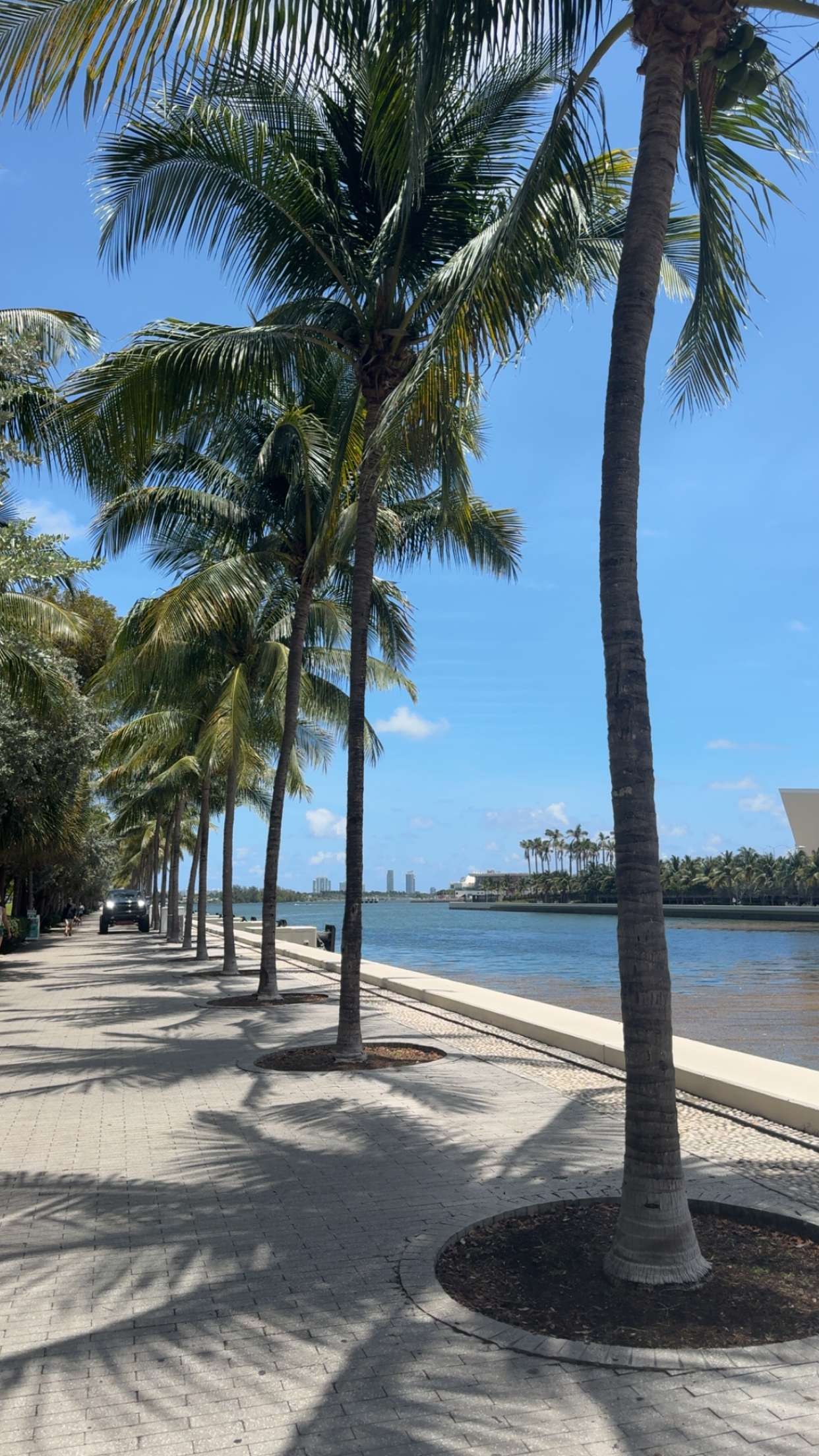 bellarenaldii snapchat image archive image