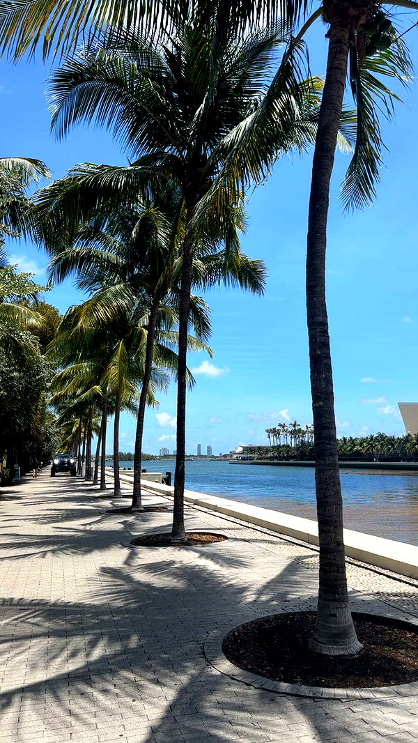 bellarenaldii image ~ Altpins