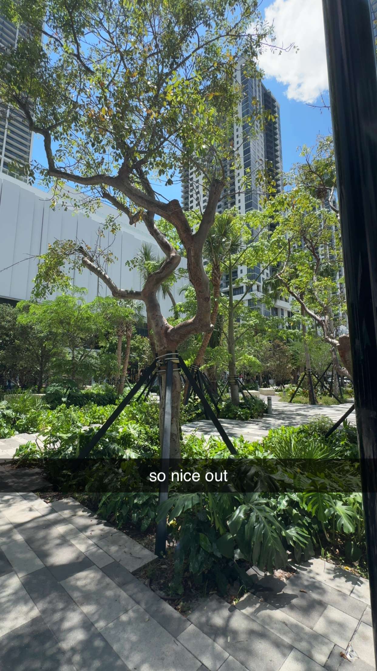 bellarenaldii snapchat image archive image