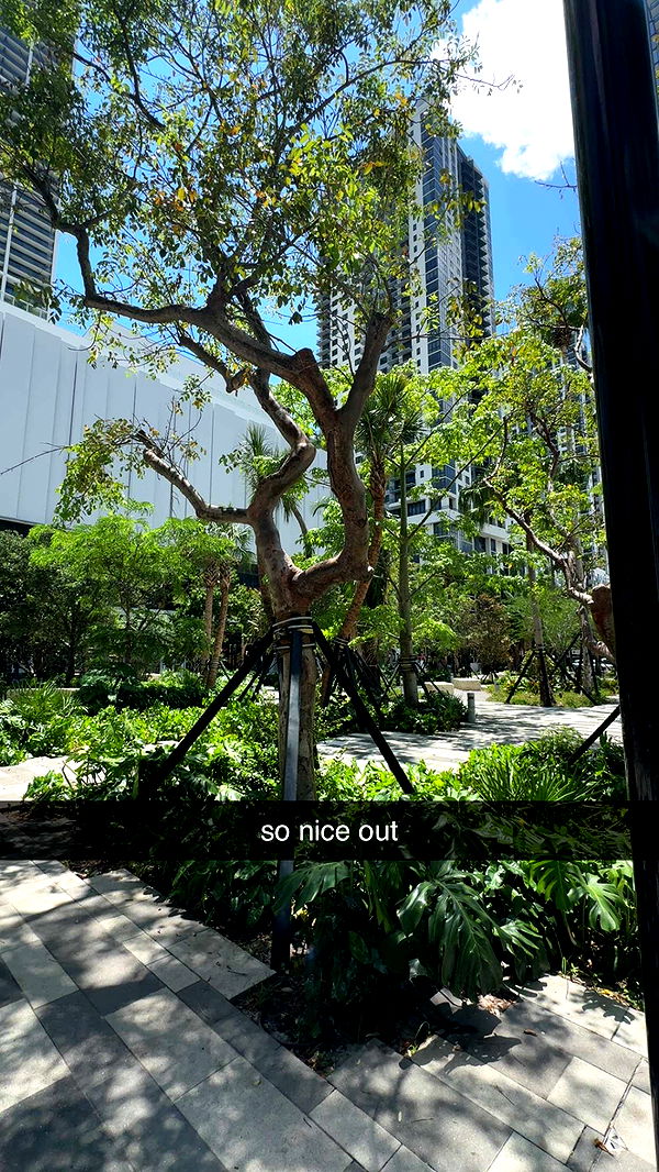 bellarenaldii image ~ Altpins