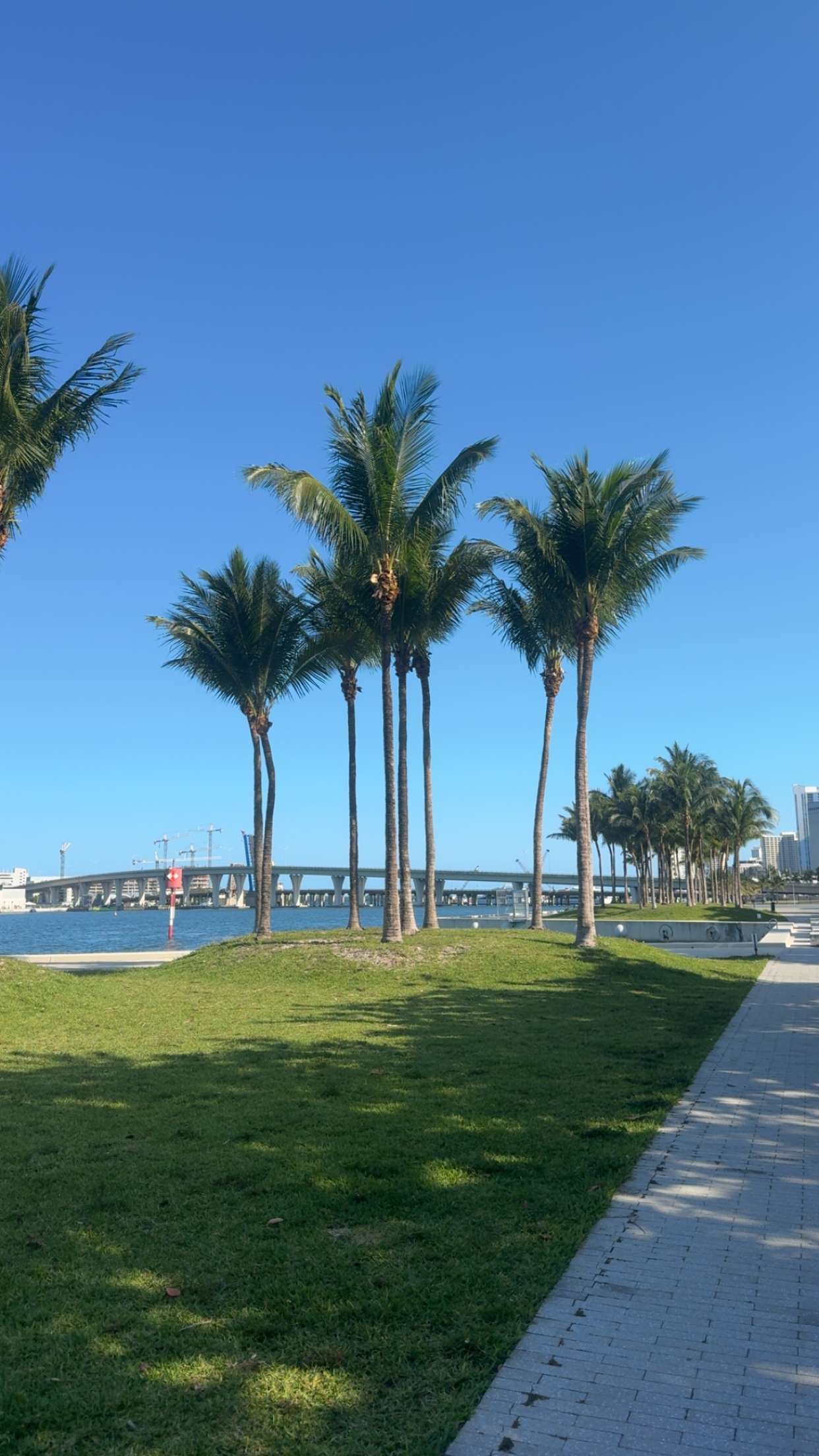 bellarenaldii snapchat image archive image