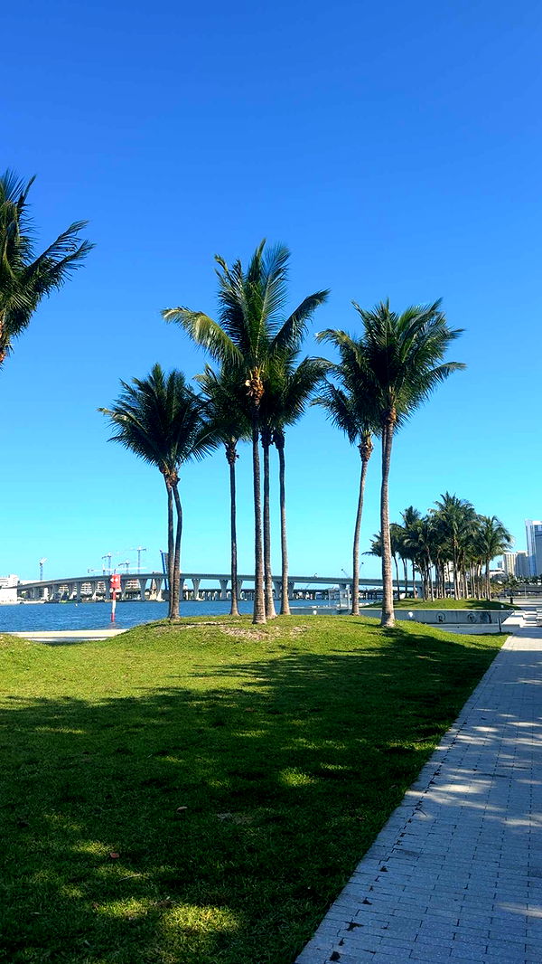 bellarenaldii image ~ Altpins