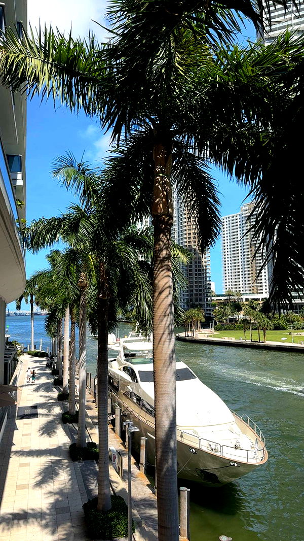 bellarenaldii image ~ Altpins