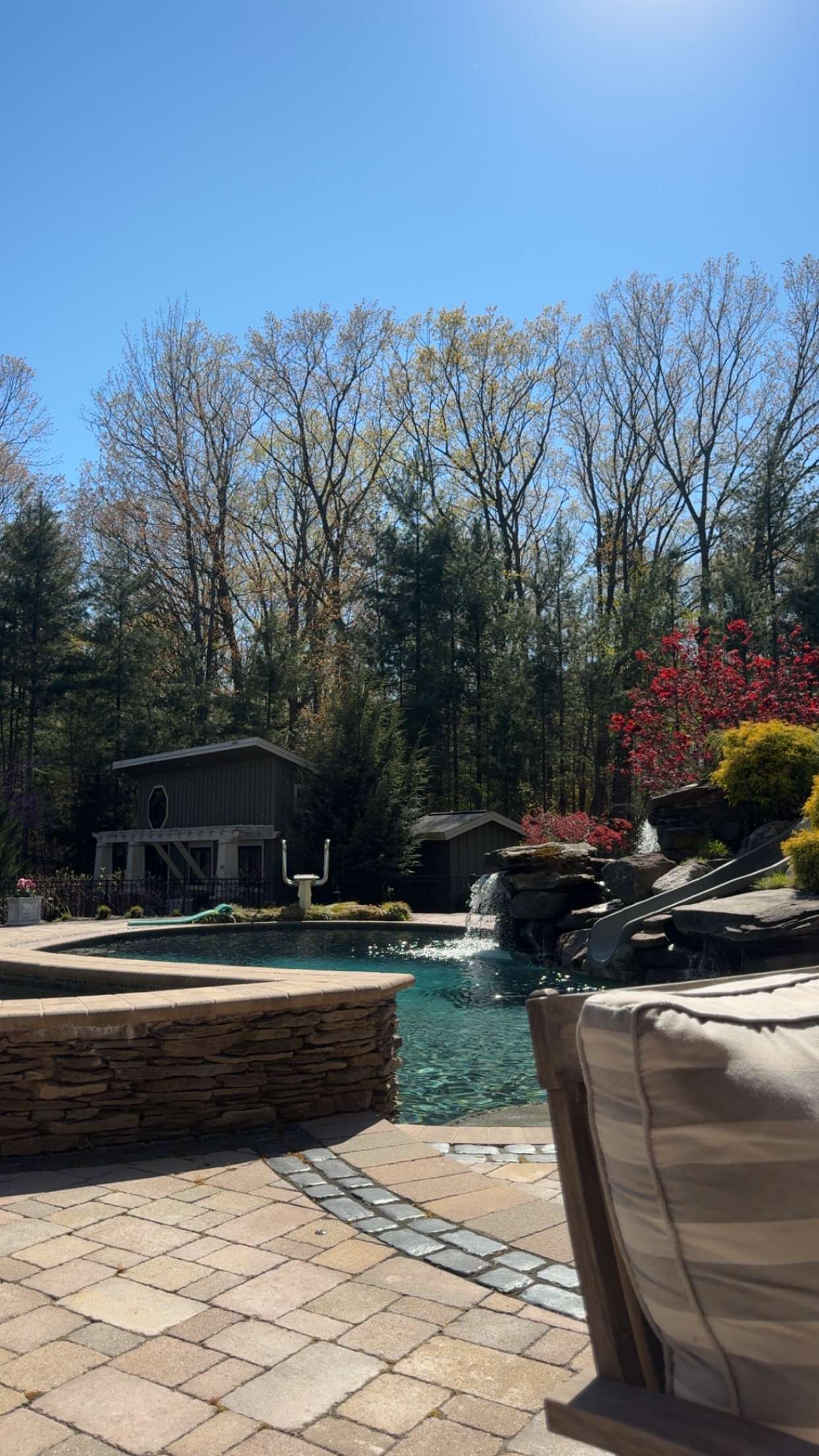 bellarenaldii snapchat image archive image