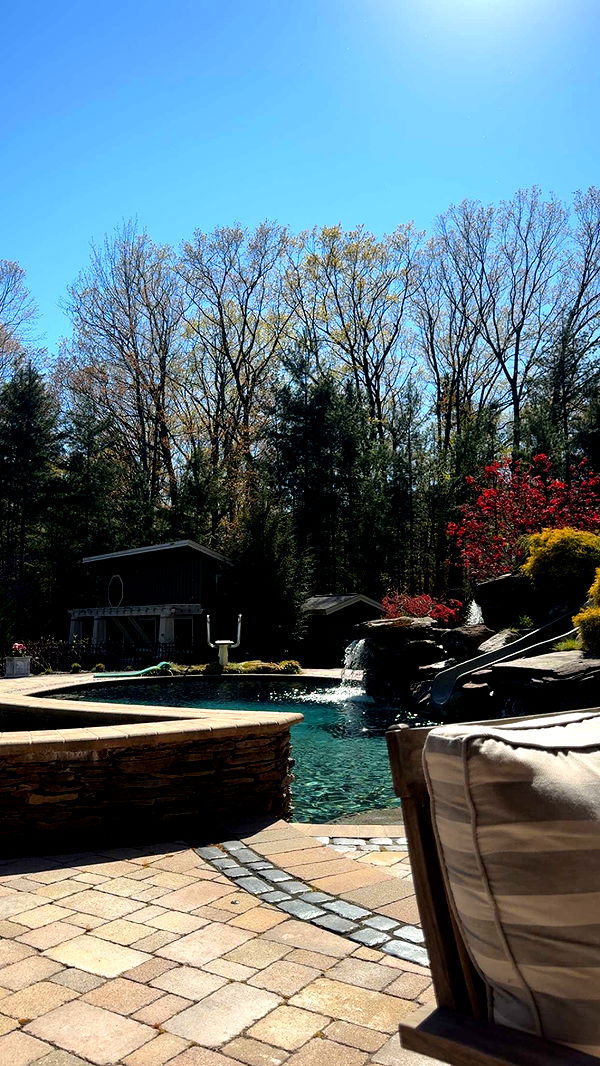 bellarenaldii image ~ Altpins