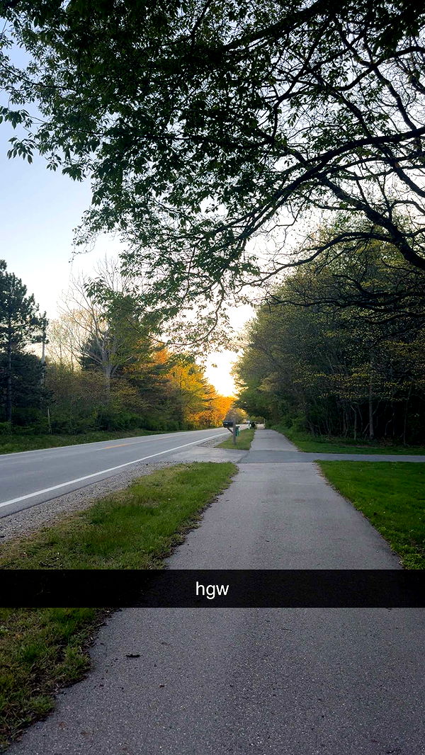 bellarenaldii image ~ Altpins