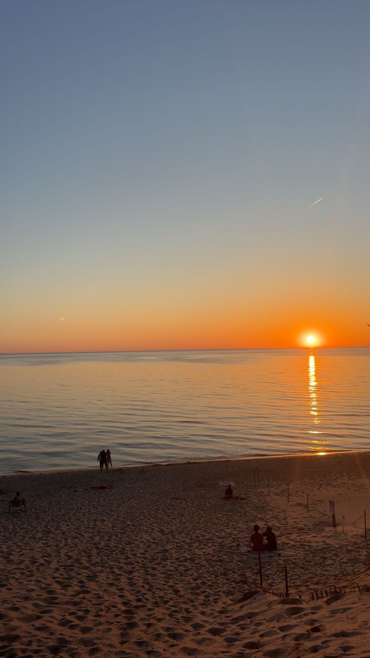 bellarenaldii snapchat image archive image