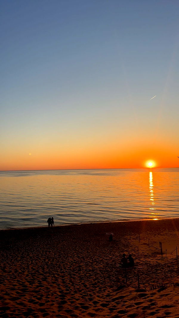 bellarenaldii image ~ Altpins