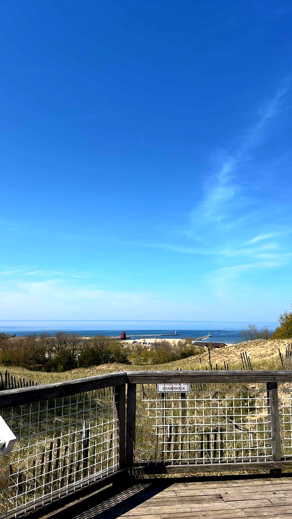 bellarenaldii image ~ Altpins