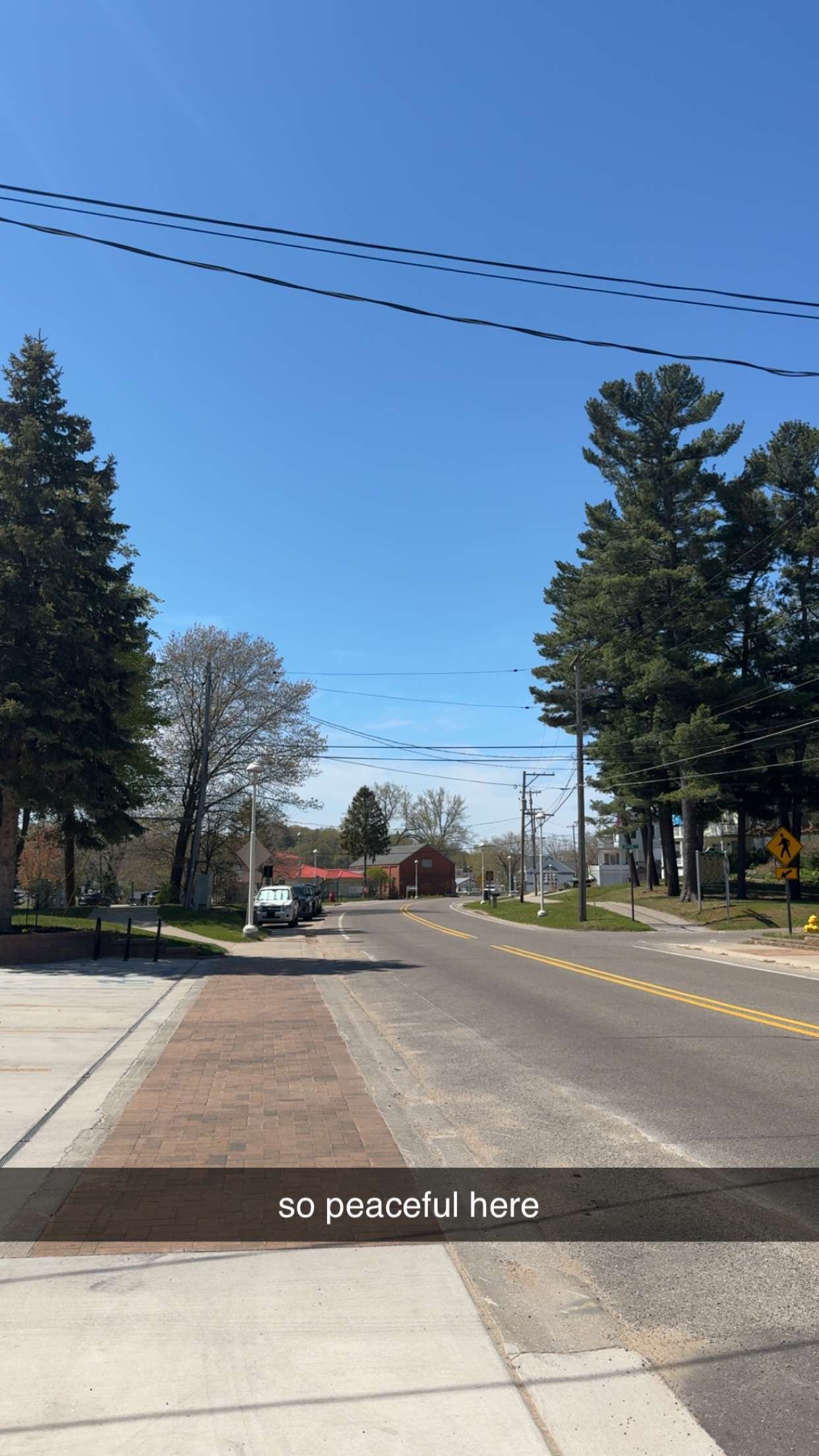 bellarenaldii snapchat image archive image