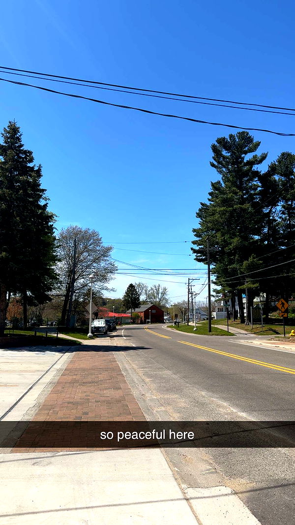 bellarenaldii image ~ Altpins