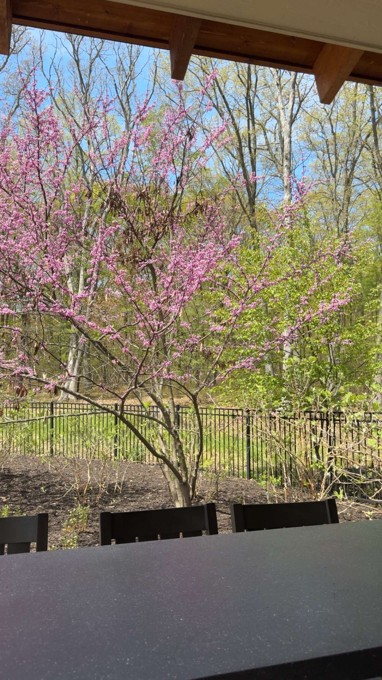 bellarenaldii snapchat image archive image