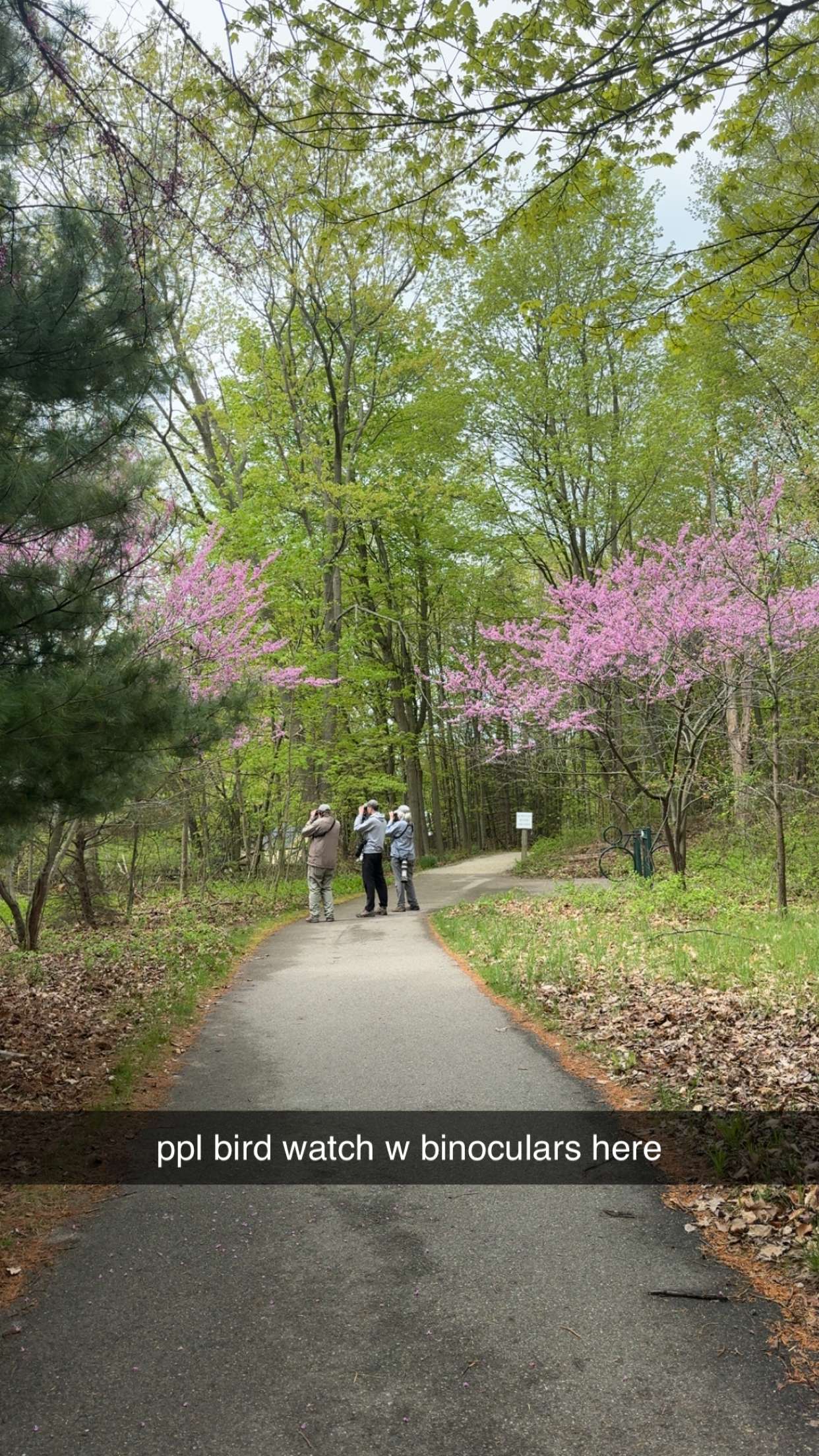 bellarenaldii snapchat image archive image