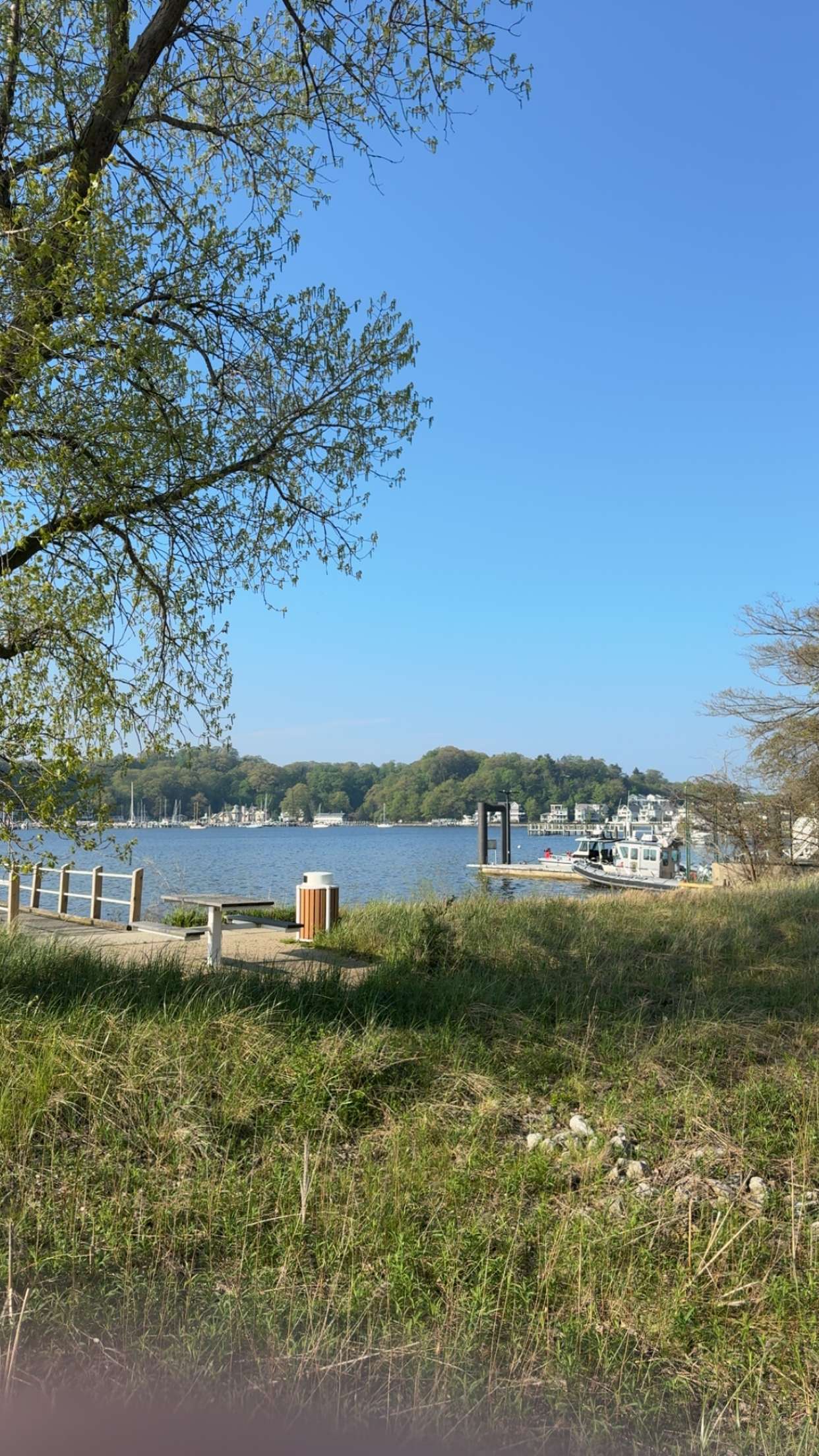 bellarenaldii snapchat image archive image