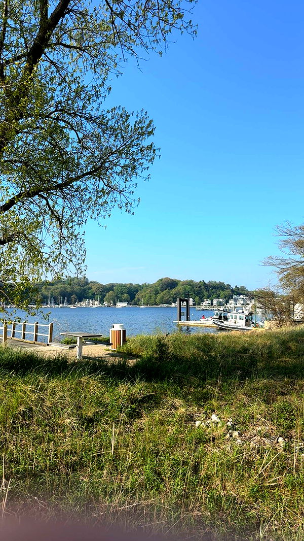 bellarenaldii image ~ Altpins