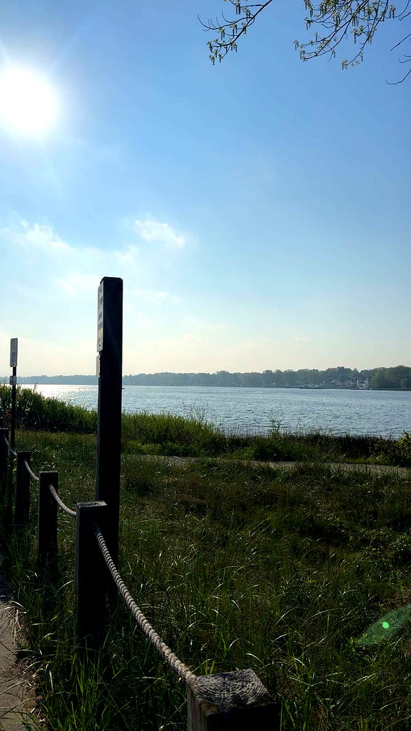 bellarenaldii image ~ Altpins