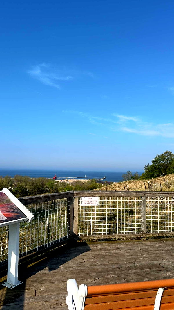 bellarenaldii image ~ Altpins