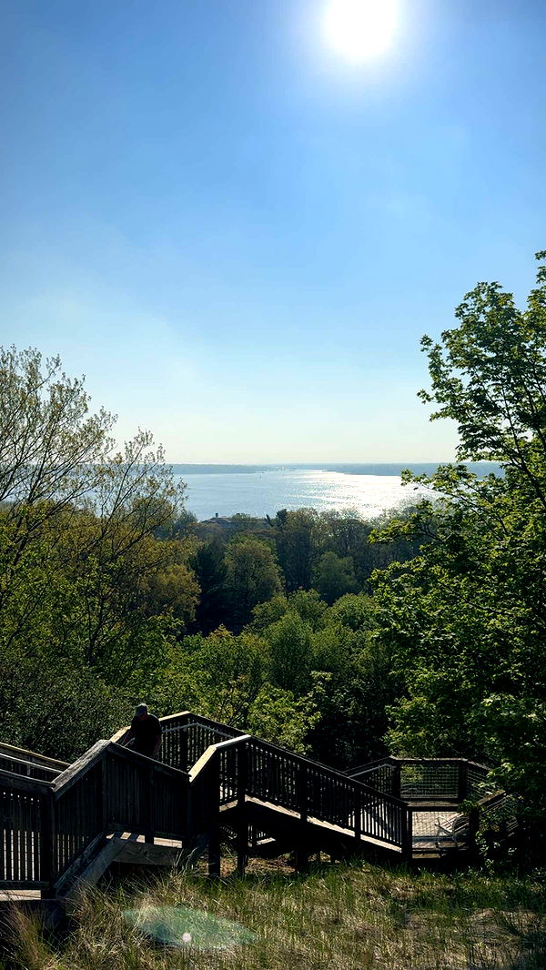 bellarenaldii image ~ Altpins