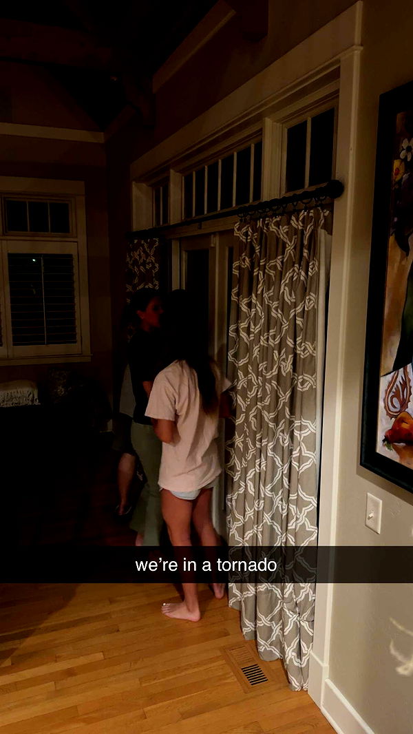 bellarenaldii image ~ Altpins