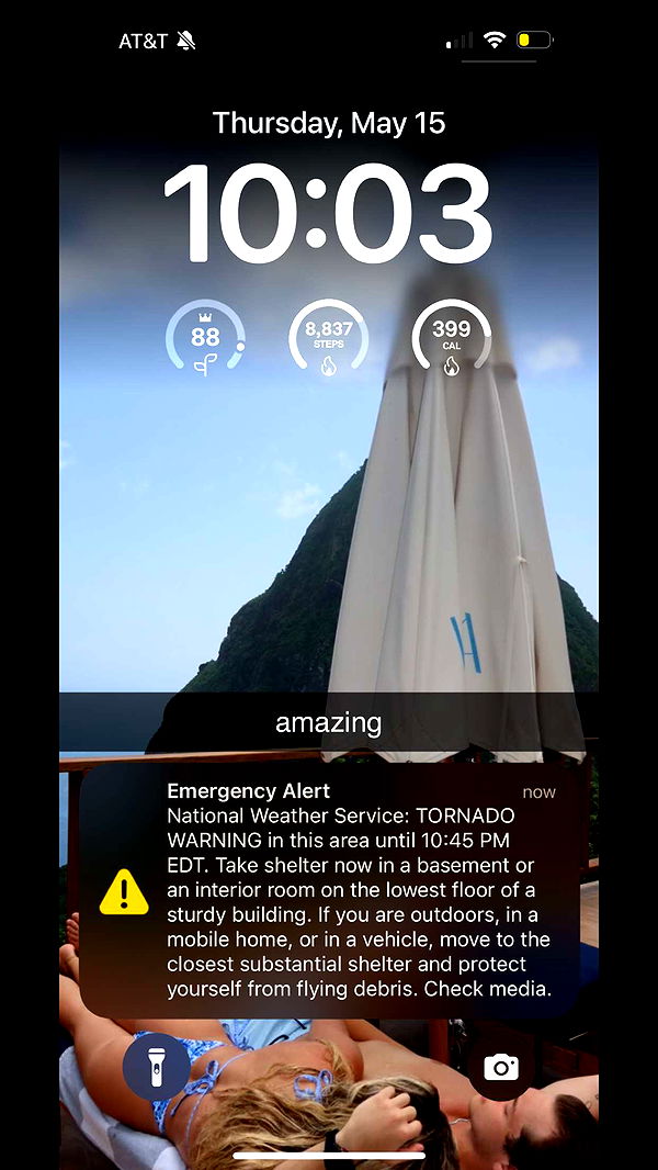 bellarenaldii image ~ Altpins