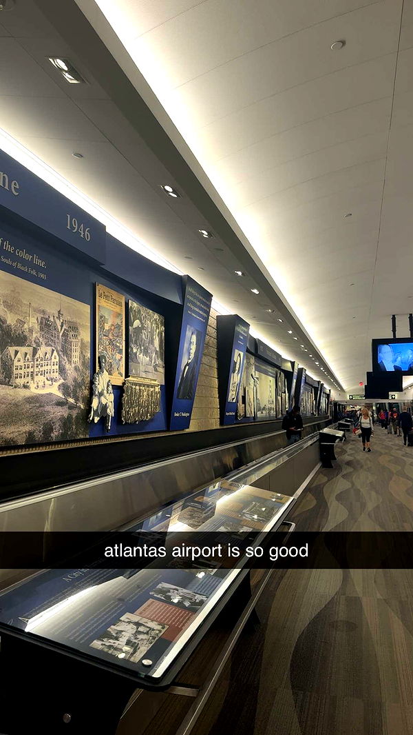 bellarenaldii image ~ Altpins