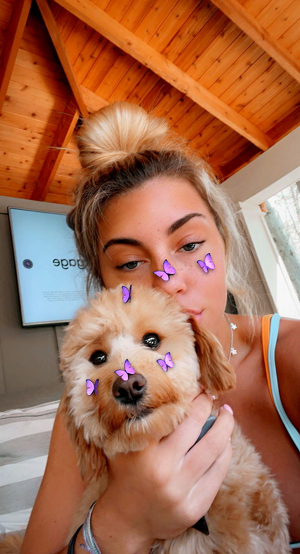 bellarenaldii image ~ Altpins