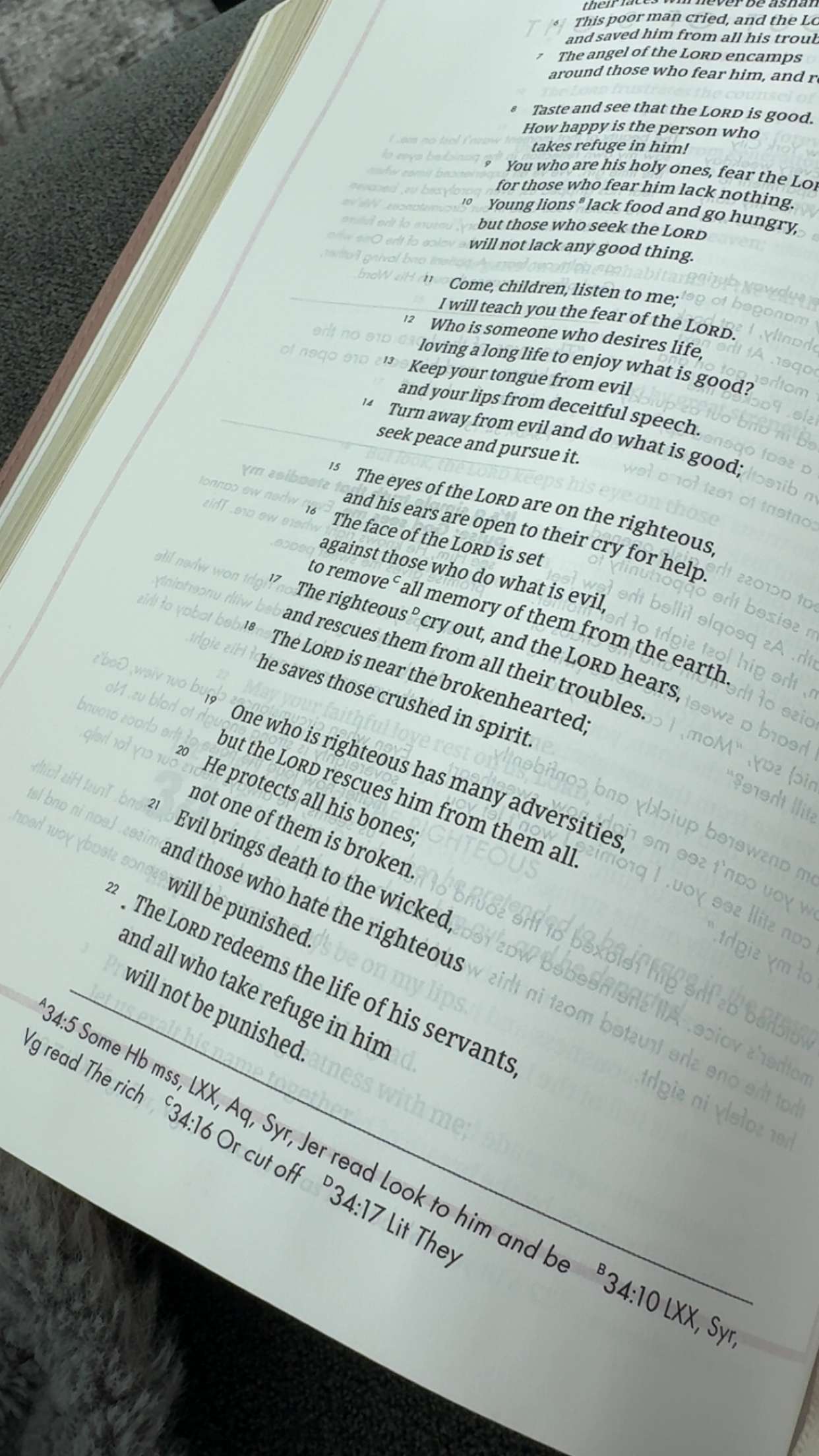 bellarenaldii snapchat image archive image