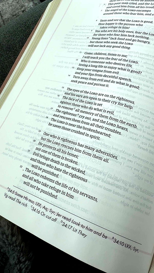 bellarenaldii image ~ Altpins