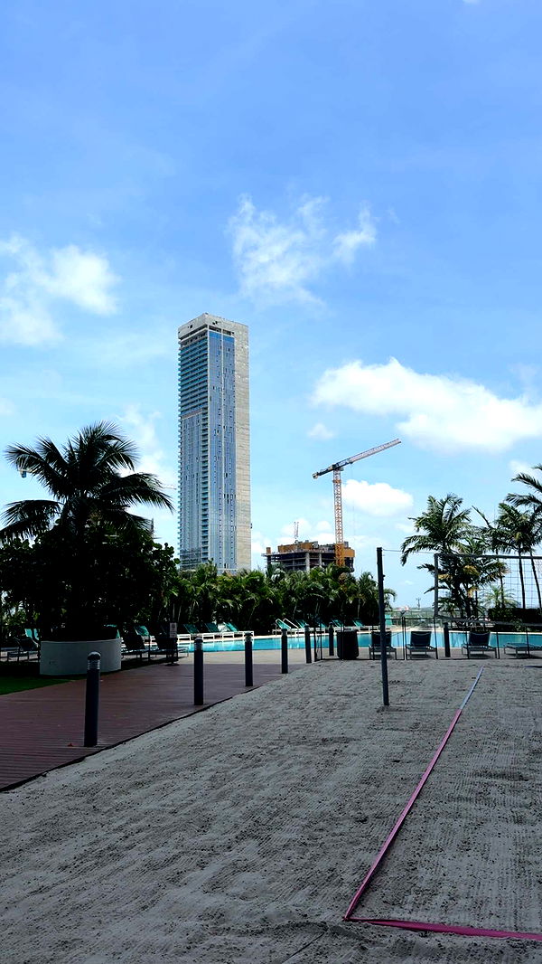 bellarenaldii image ~ Altpins