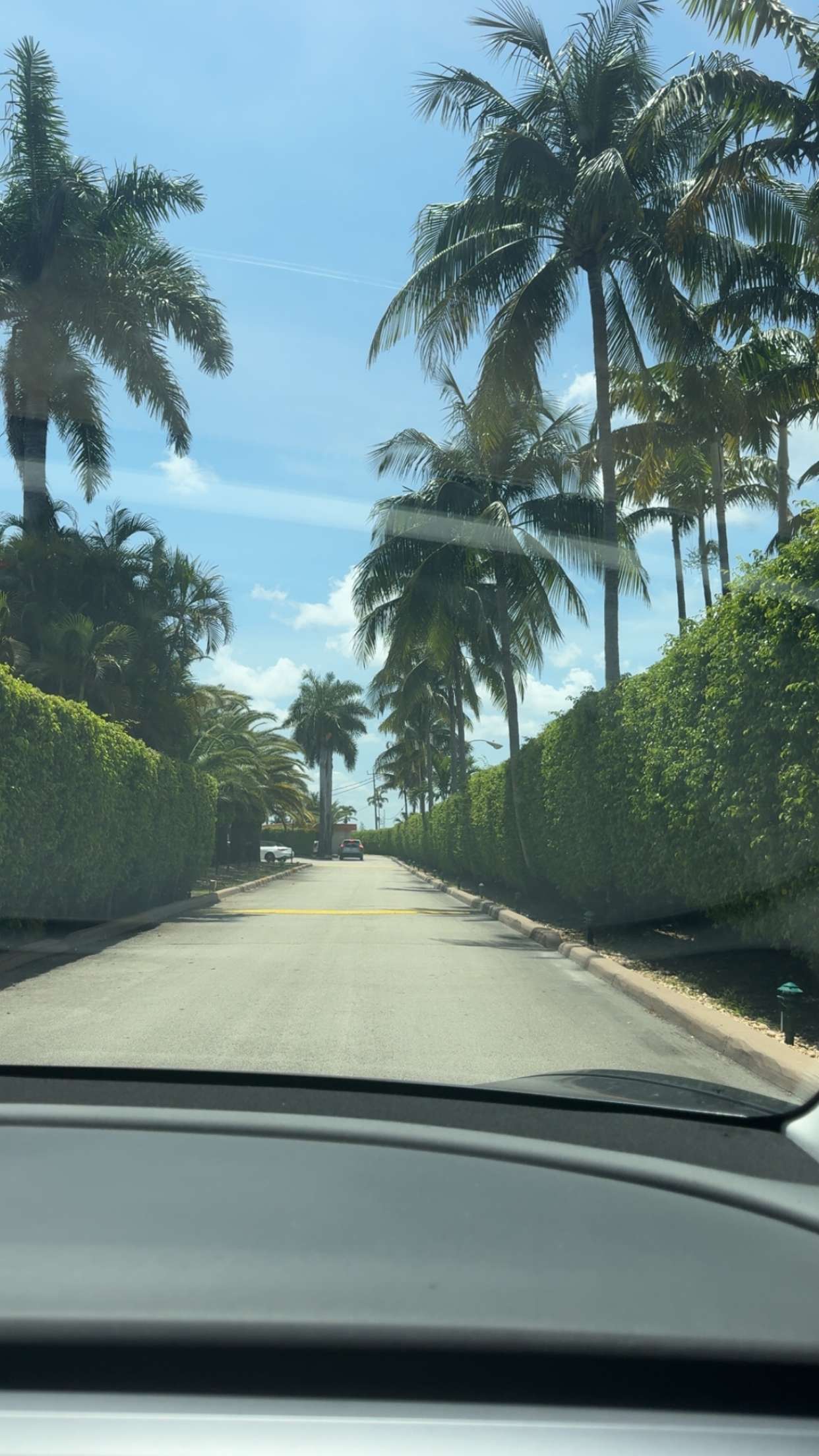 bellarenaldii snapchat image archive image