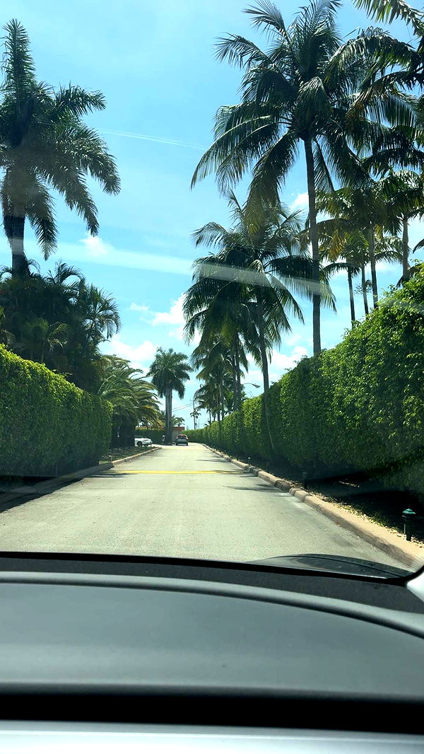 bellarenaldii image ~ Altpins