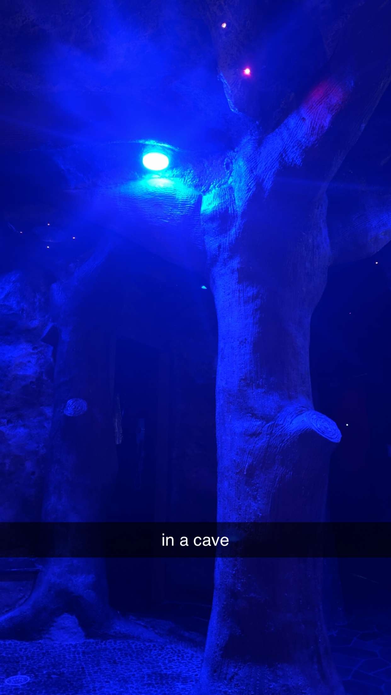 bellarenaldii snapchat image archive image