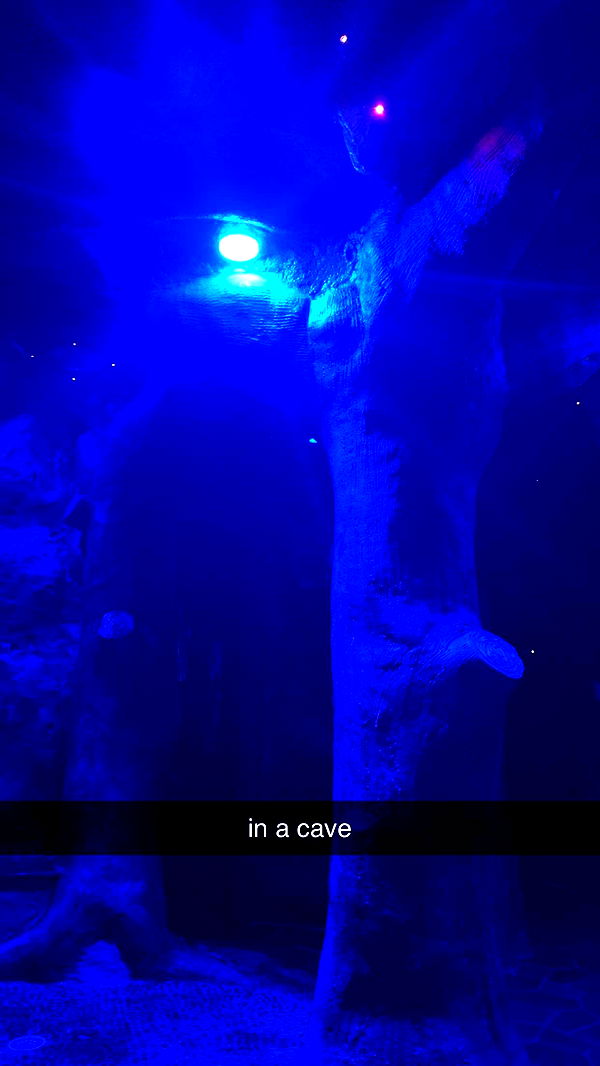 bellarenaldii image ~ Altpins