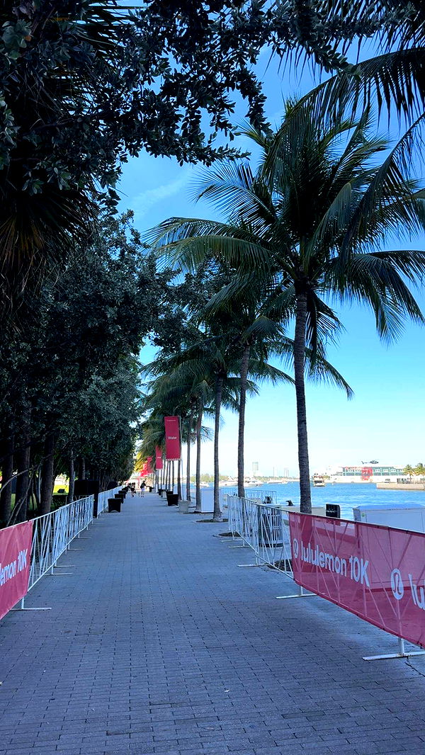 bellarenaldii image ~ Altpins