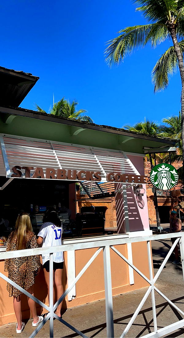 bellarenaldii image ~ Altpins