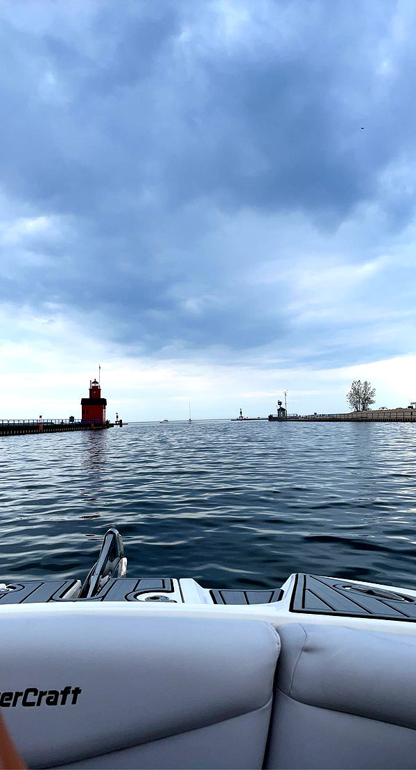 bellarenaldii image ~ Altpins