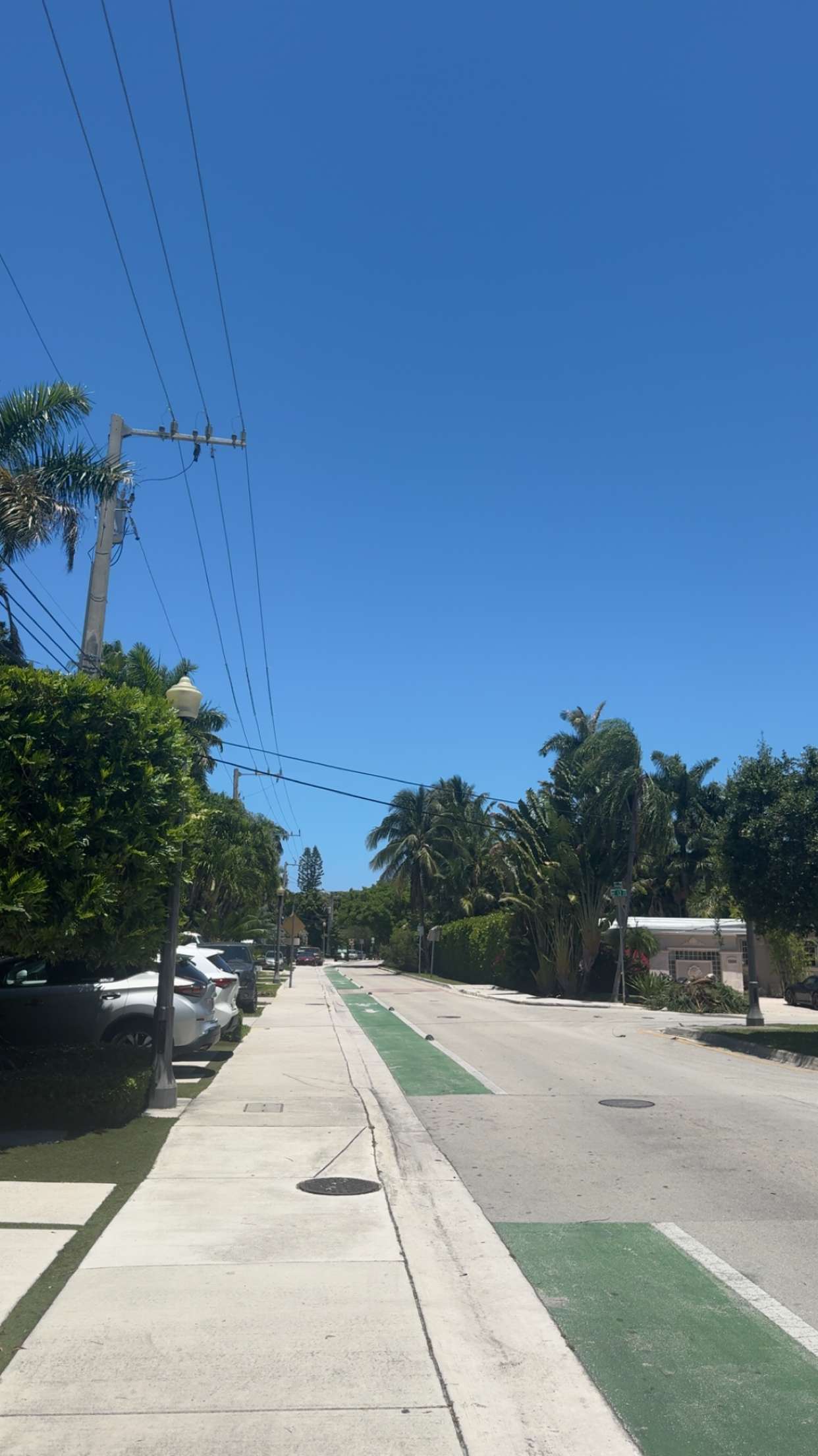 bellarenaldii snapchat image archive image