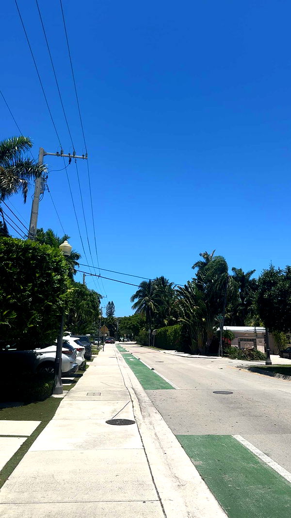 bellarenaldii image ~ Altpins